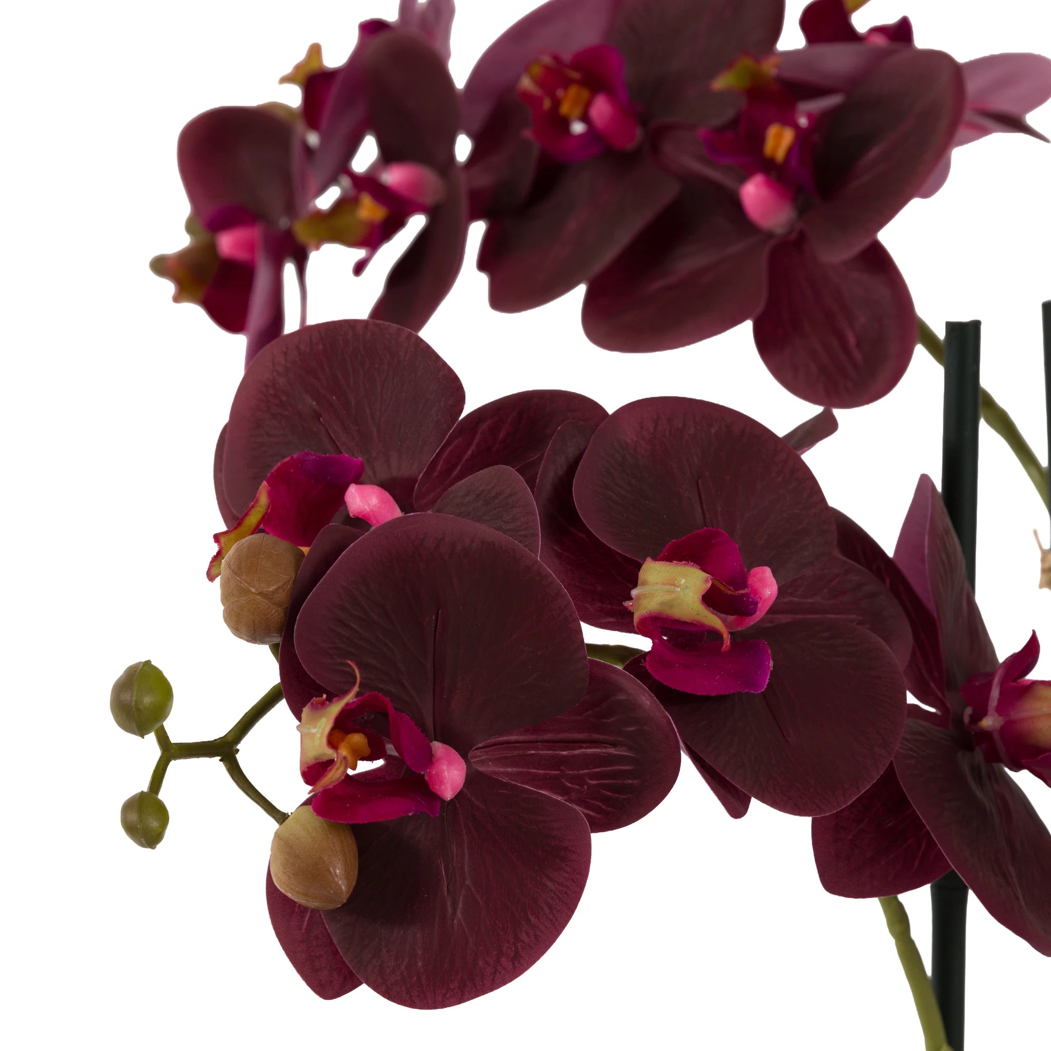 Aegeus Real Touch Plum Ridged Ceramic Pot Faux Orchid