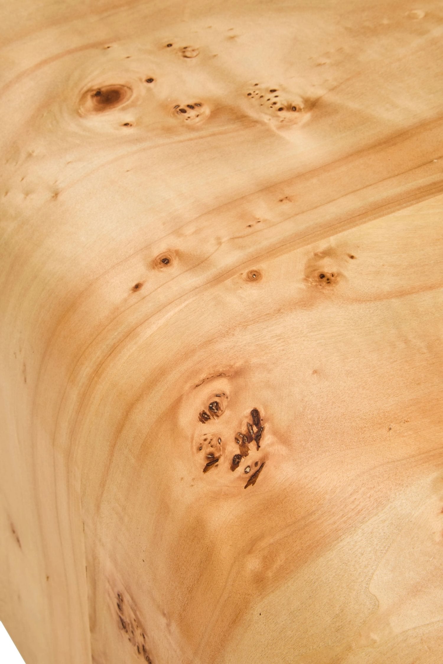 Marlow Burl Wood Design Curved Coffee Table