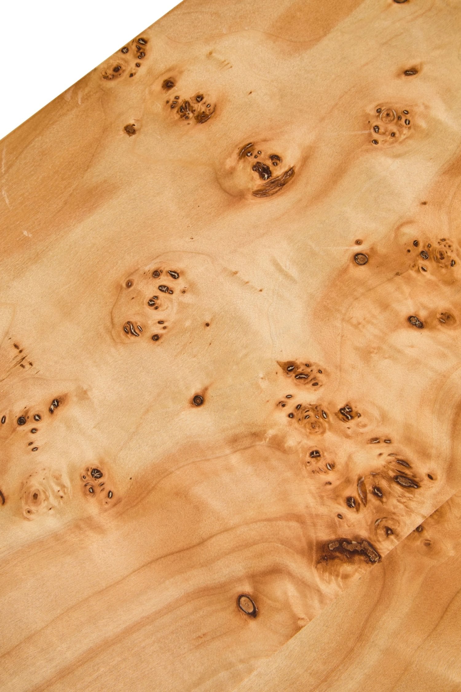 Marlow Burl Wood Design Curved Coffee Table