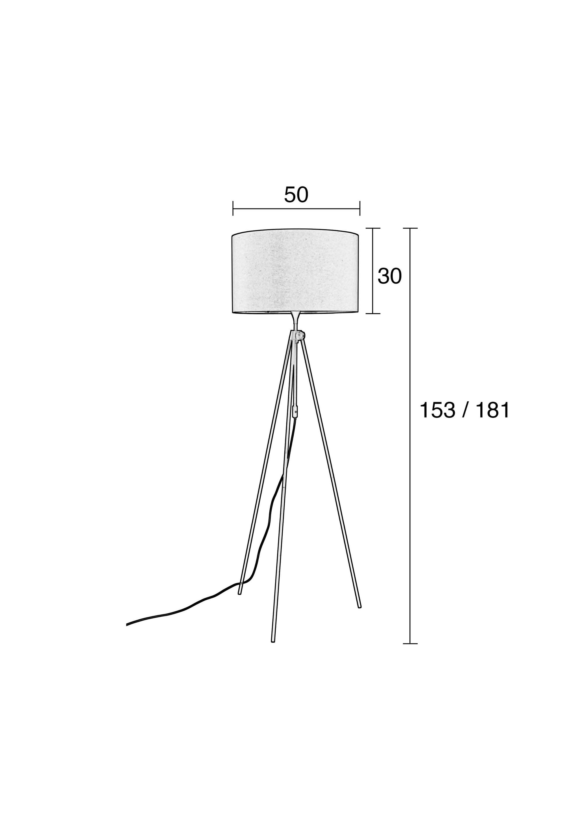 Zuiver Lesley Black Floor Lamp