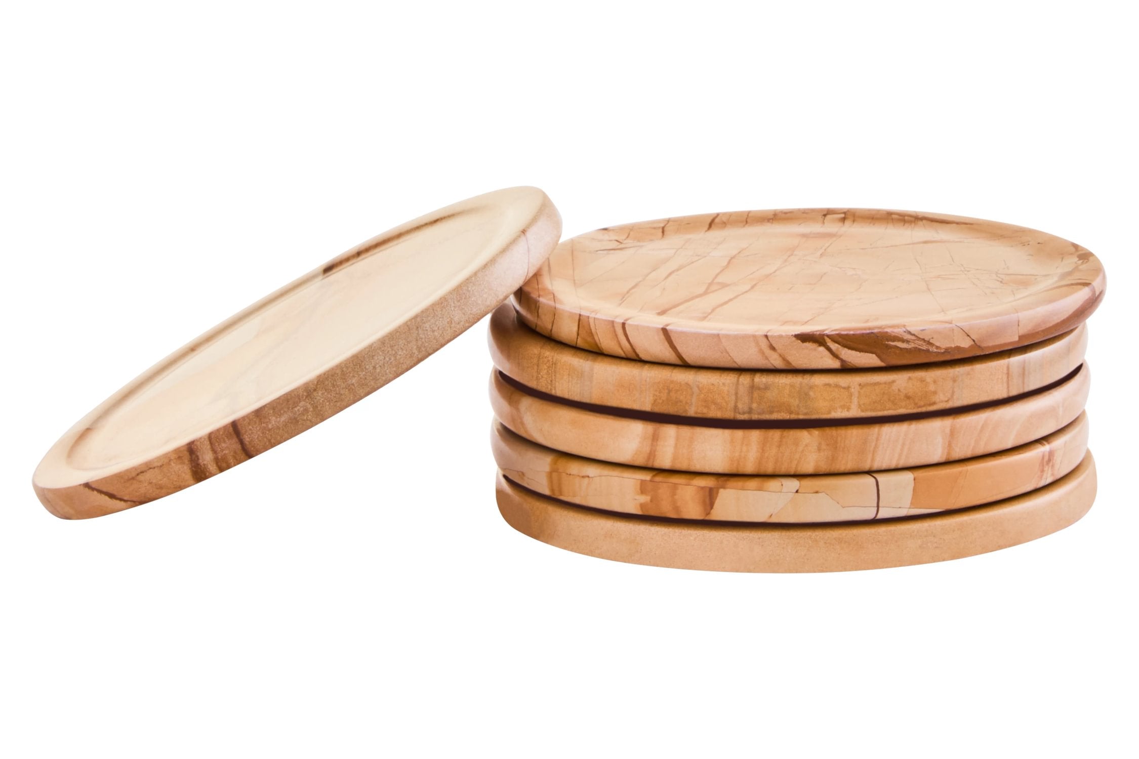 Set of 5 Wren Marble Round Coasters with Holder