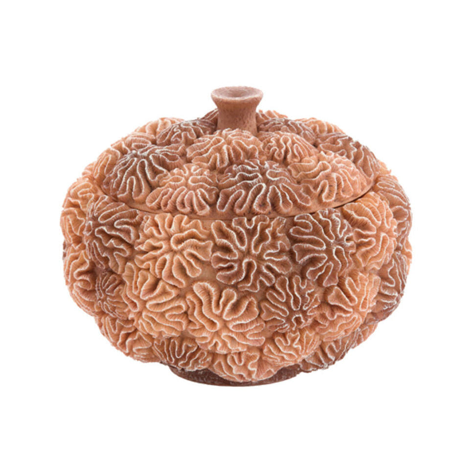 Coral Peach/Light Brown Decorative Storage Box with Lid 15.5cm