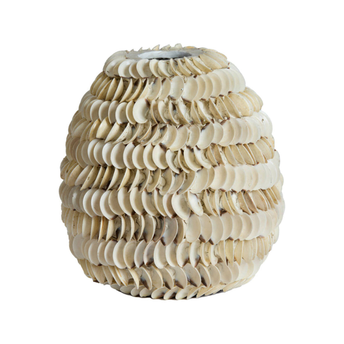 Sarria Bamboo & Cream Shell Vase 27cm