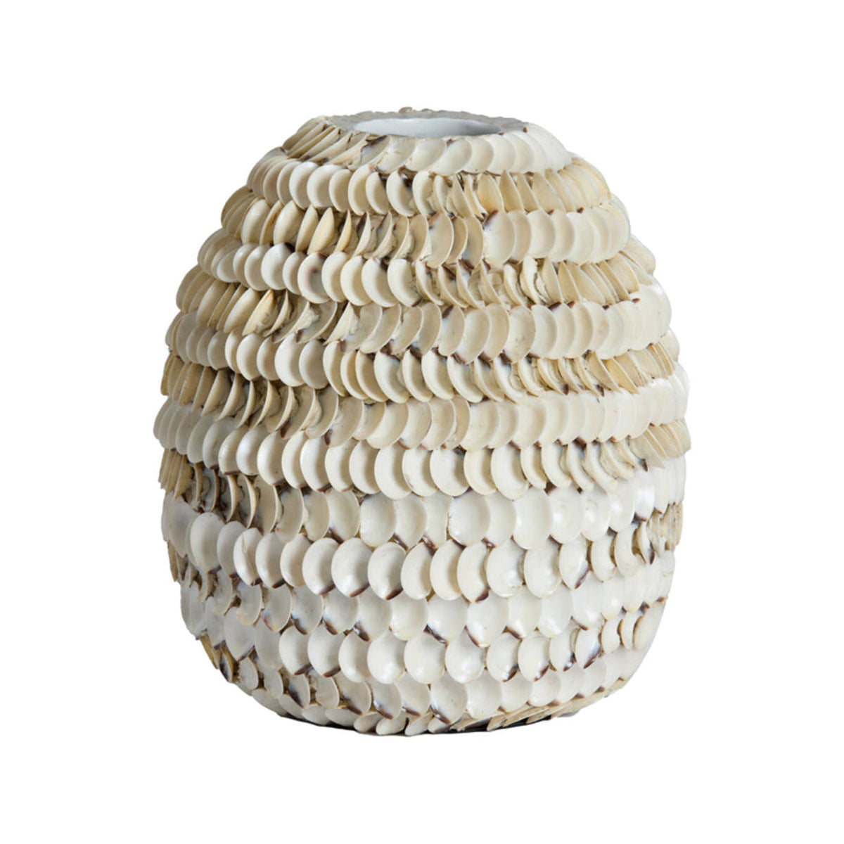 Sarria Bamboo & Cream Shell Vase 35cm