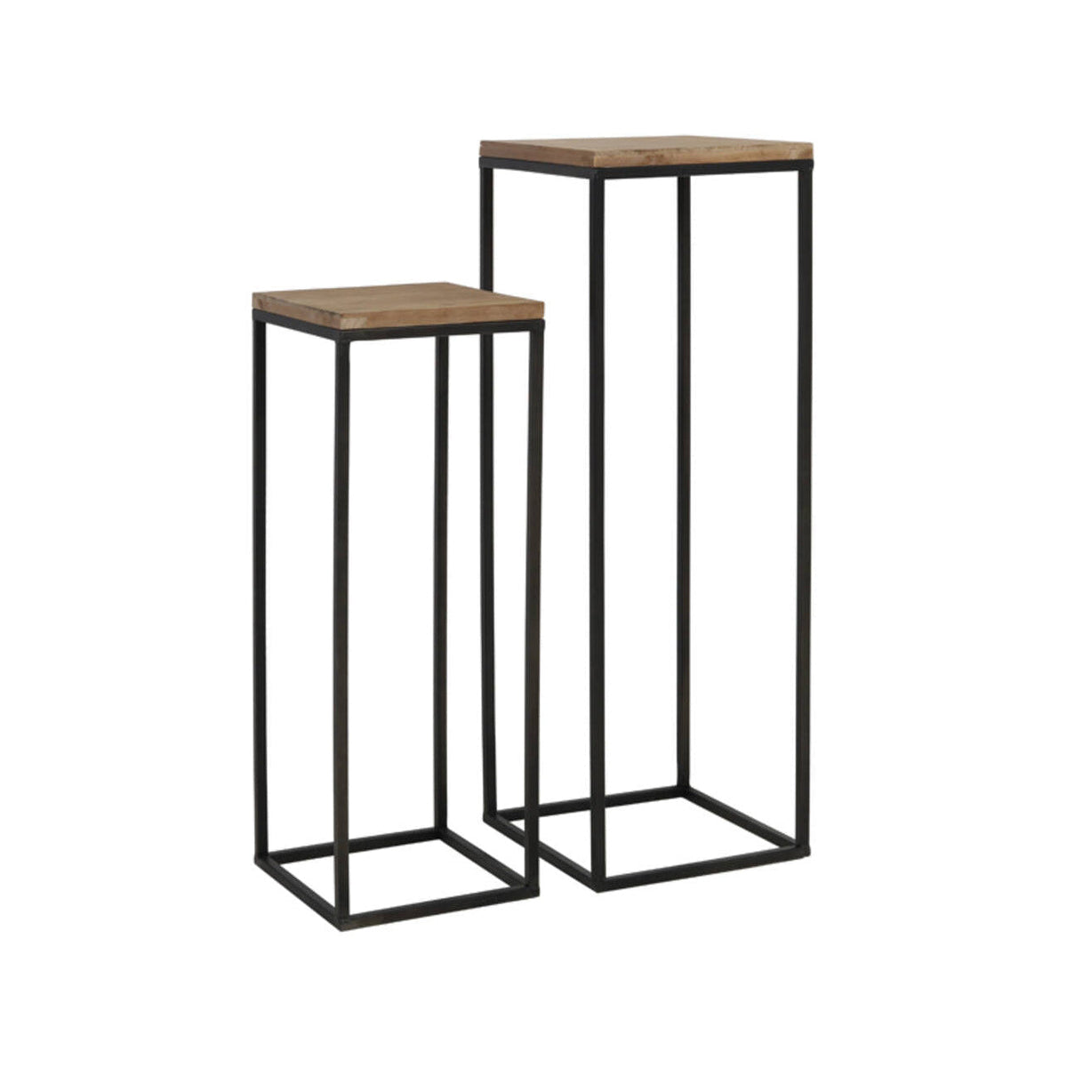 Yarula Set of 2 Wood & Black Plinths