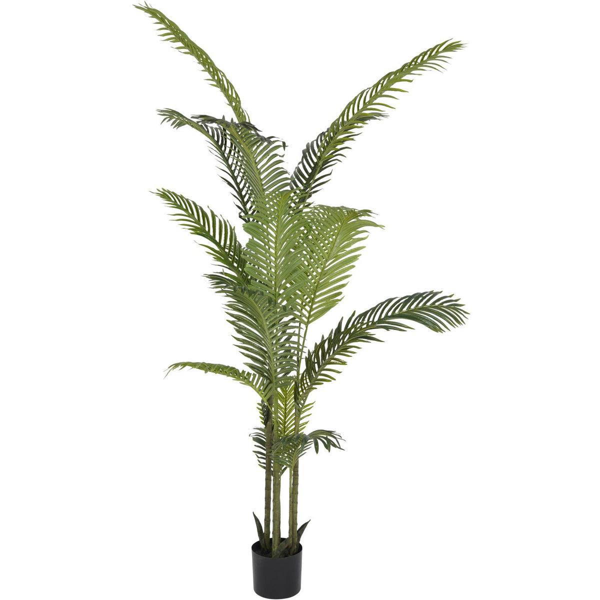 Artificial Areca Palm Tree 6ft Large