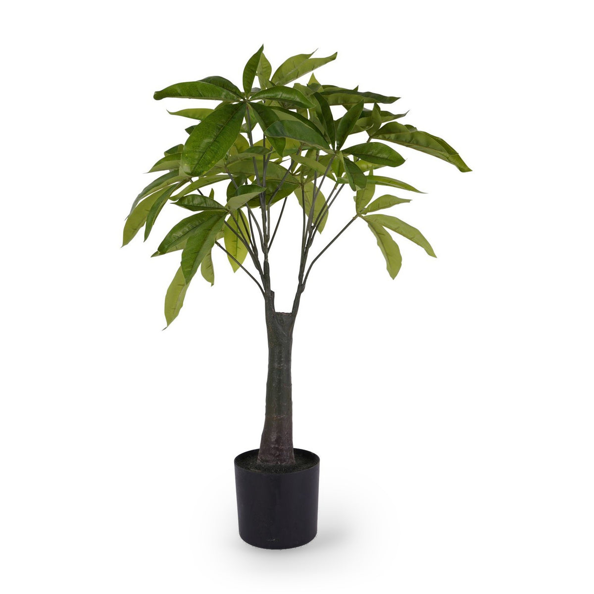 Artificial Pachira Money Plant 65cm Large