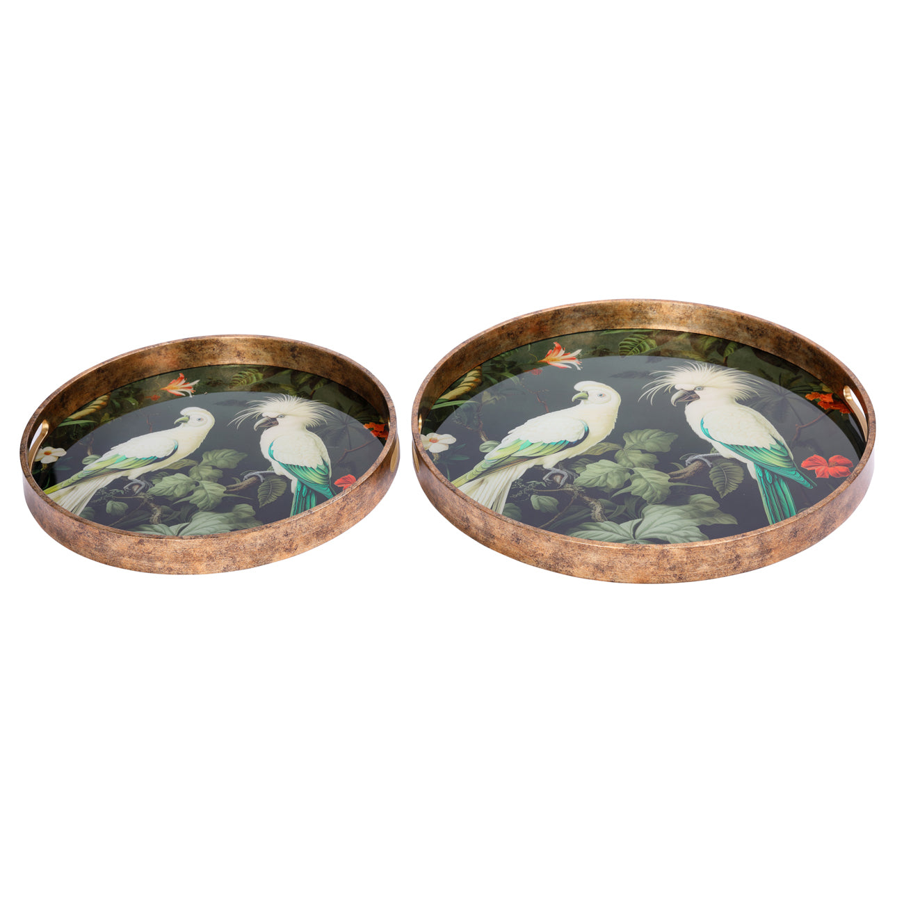 Set of 2 Tropical Birds Trays — view 2