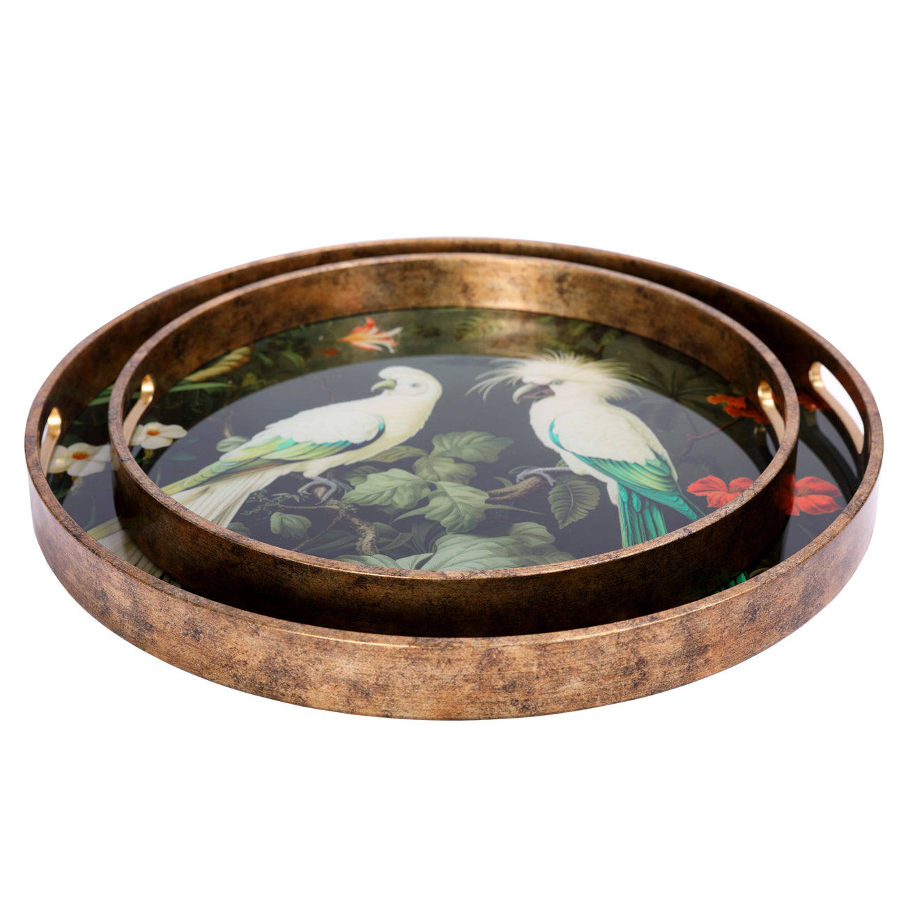 Set of 2 Tropical Birds Trays — view 3