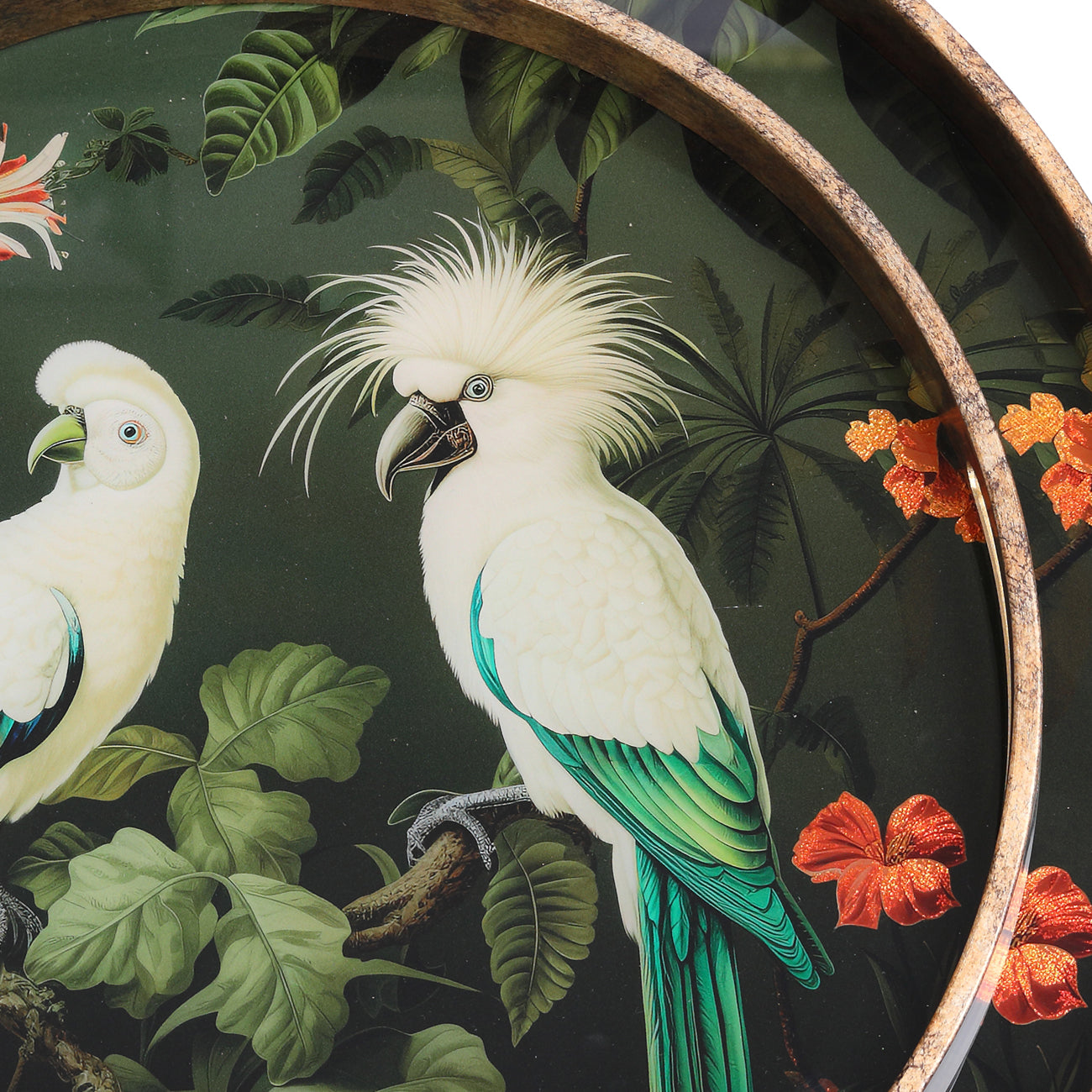 Set of 2 Tropical Birds Trays — view 4