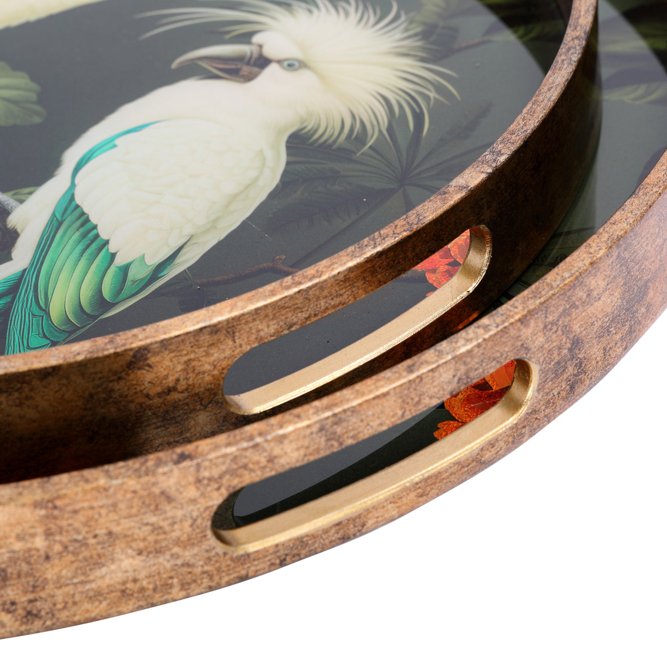 Set of 2 Tropical Birds Trays — view 5