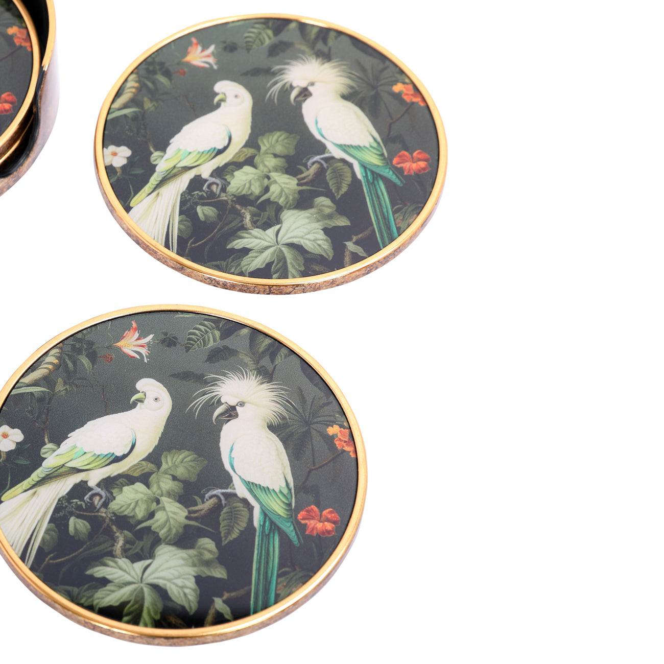 Set of 4 Tropical Birds Coasters — view 5
