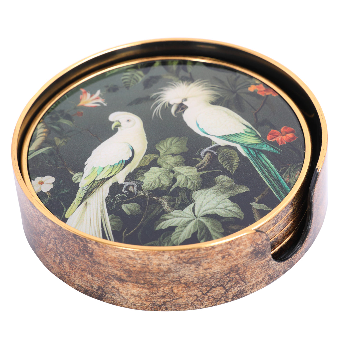 Set of 4 Tropical Birds Coasters