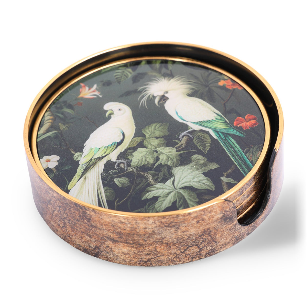 Set of 4 Tropical Birds Coasters