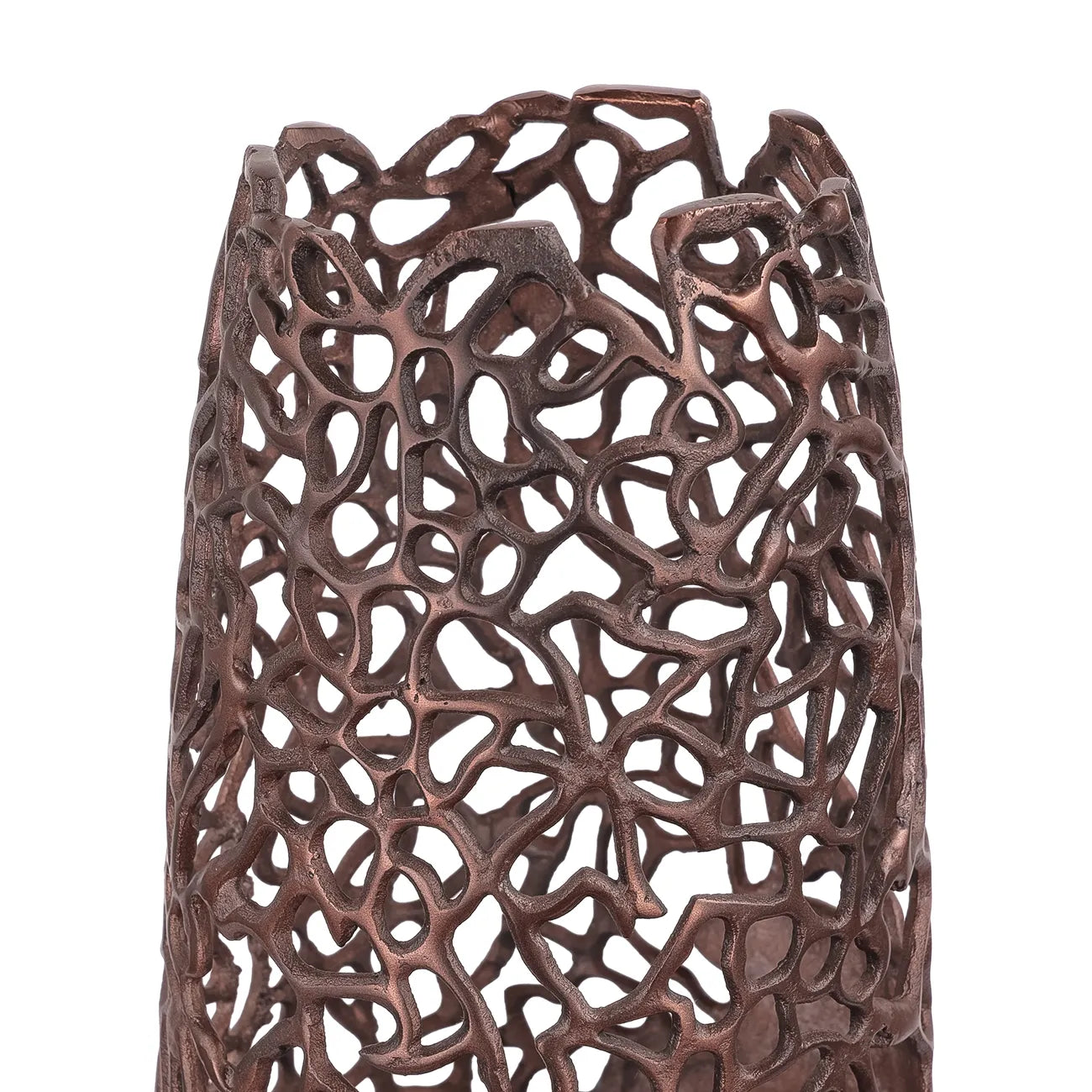 Apo Coral Raw Bronze Large Vase