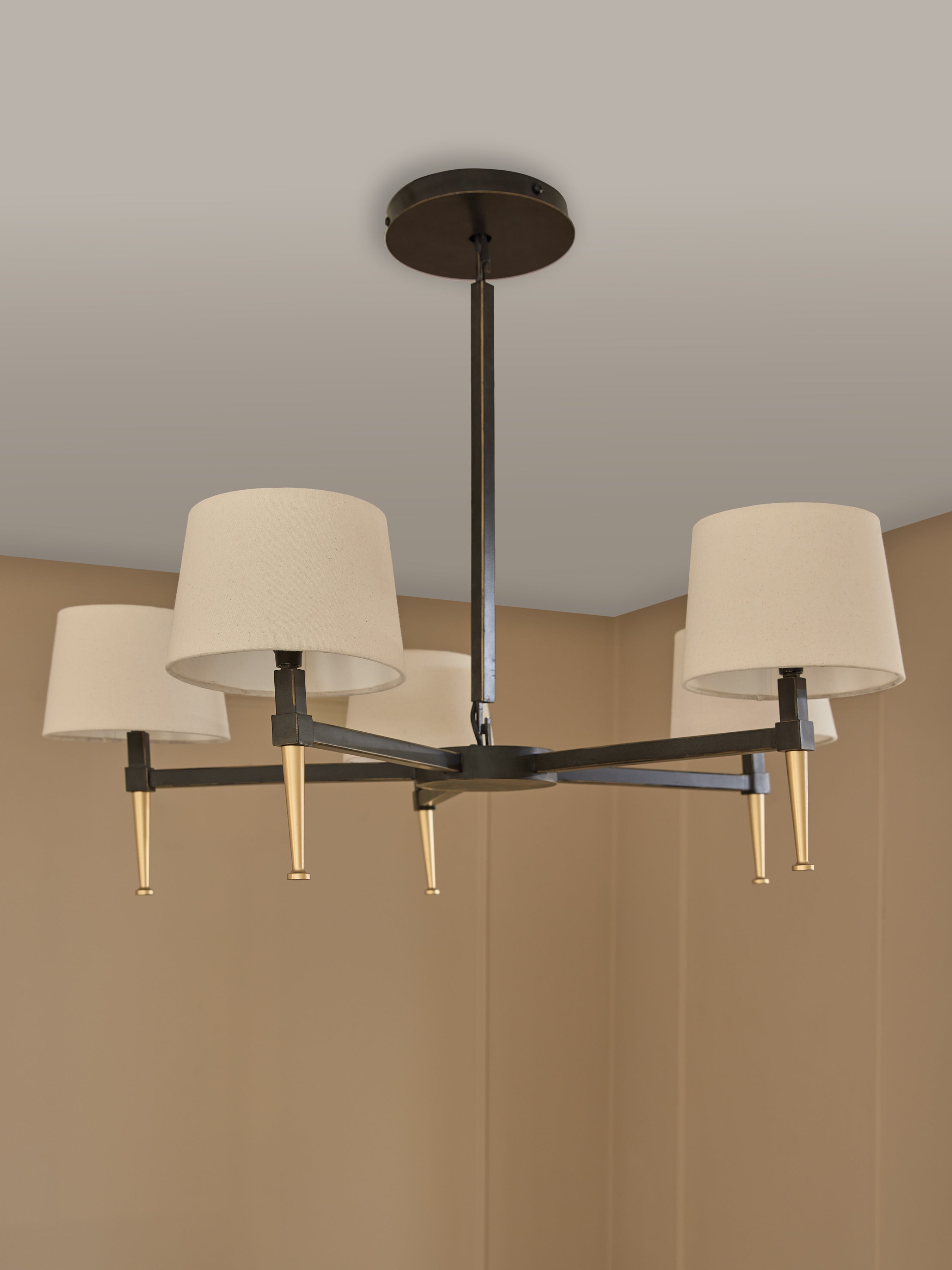 Stella 5 Light Pendant with Shades