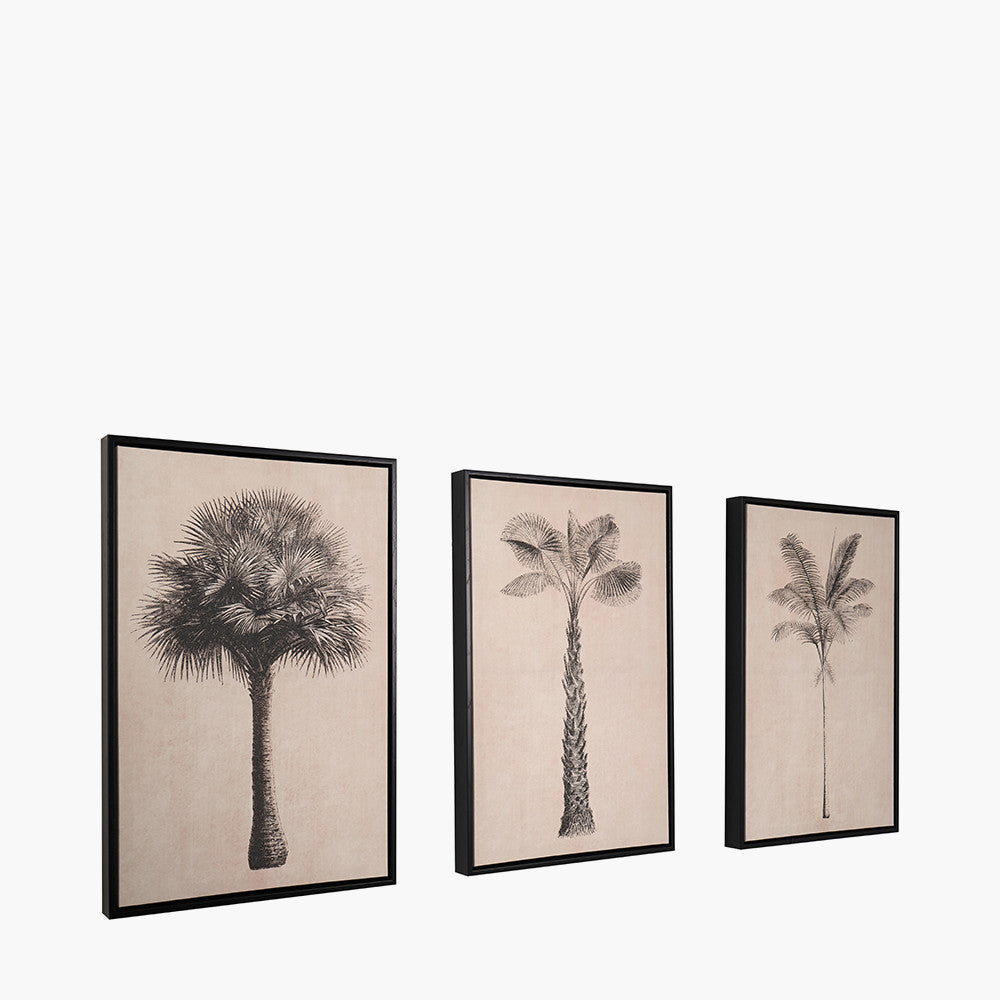 Set of 3 Natural & Black Palm Tree Canvas with Black Wood Frames