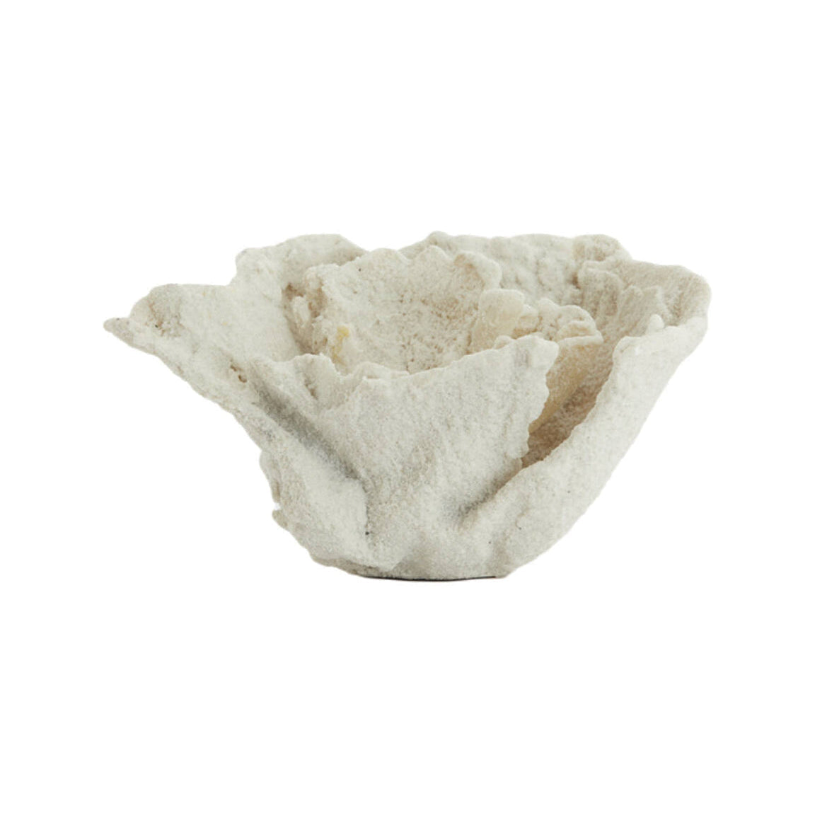 Coral Cream Ornament 13cm