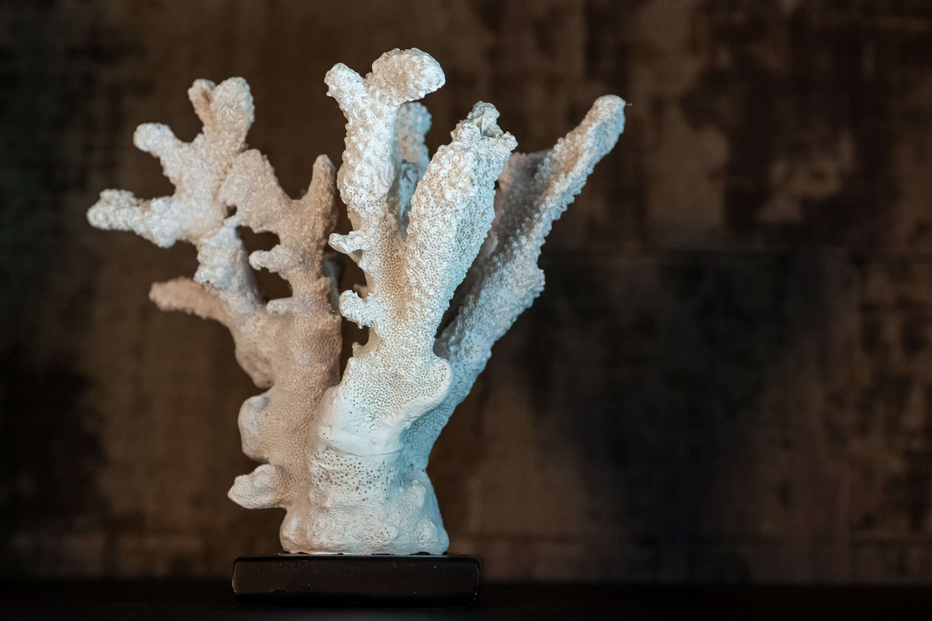 Richmond Interiors Cambon Bronze & Black Oak Wood Open Display Unit