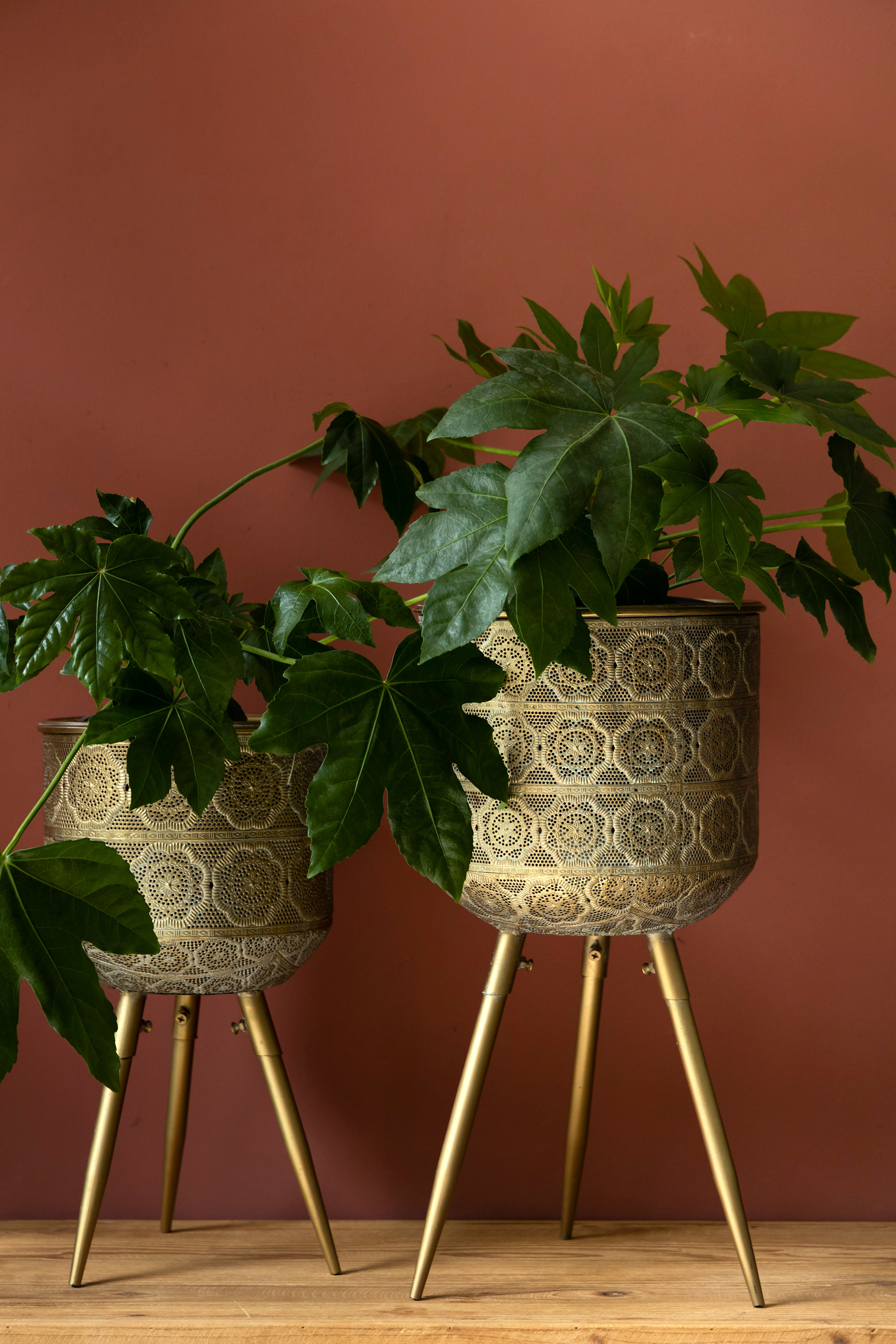 large gold planter pot Dutchbone Botanique Green & Gold Planter Large
