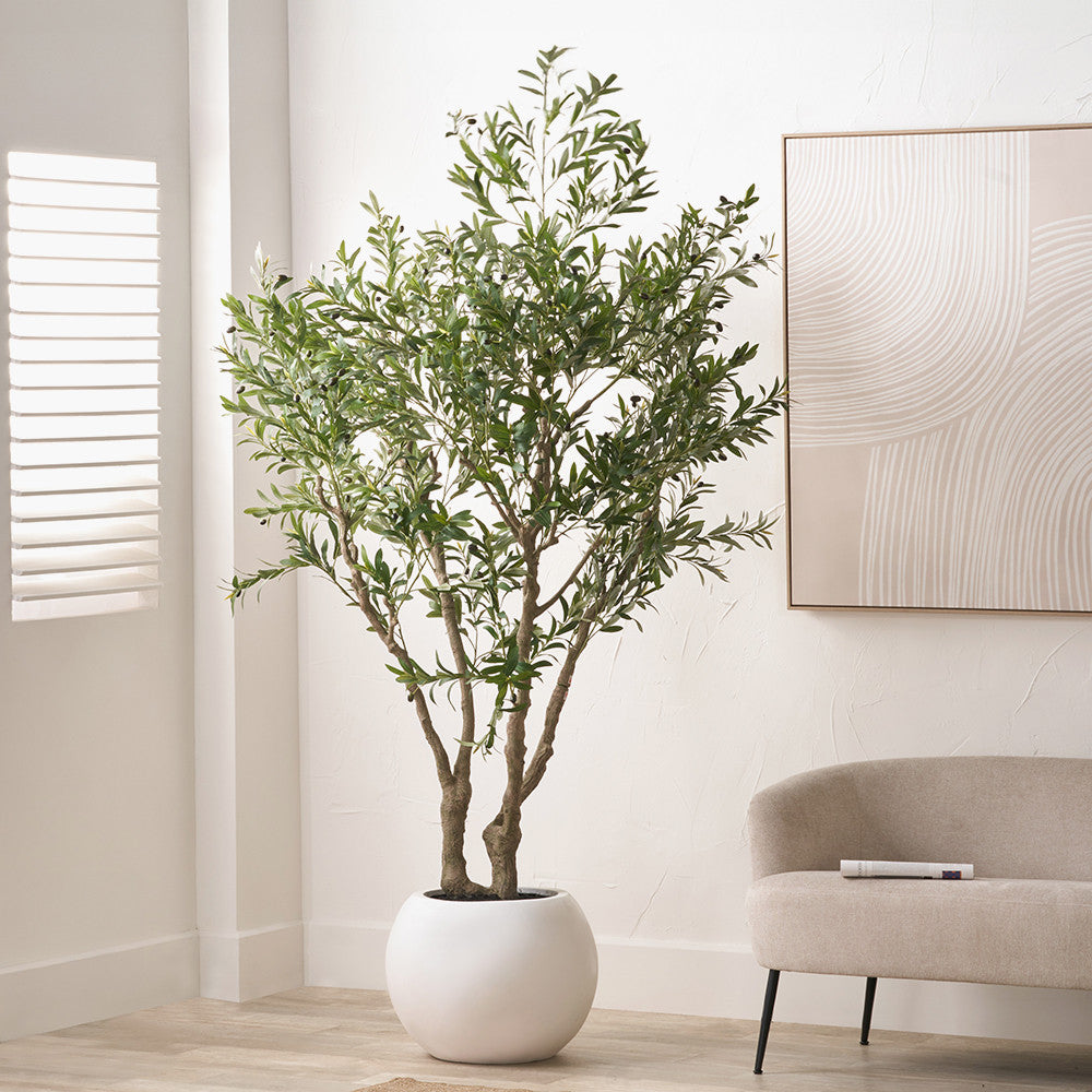 Artificial Olive Tree in White Pot | Extra Large