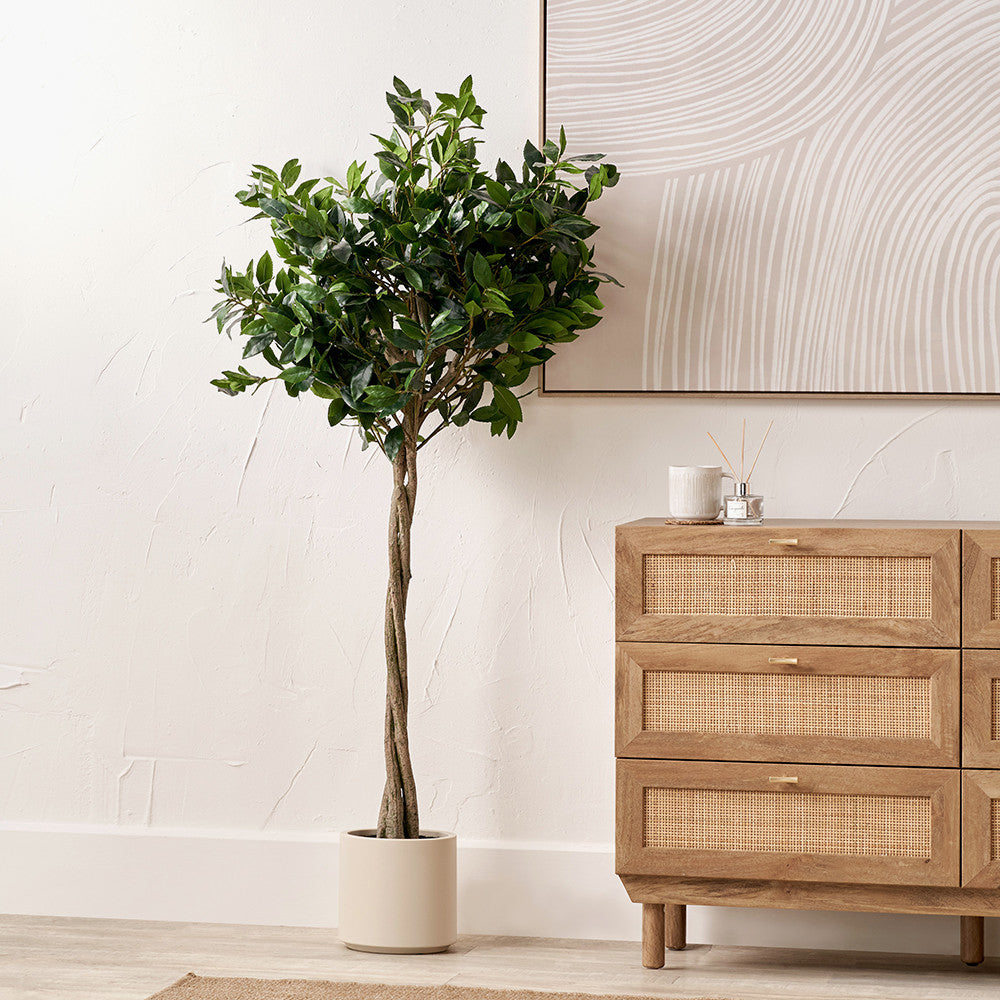 Artificial Bay Tree in Pot | Medium