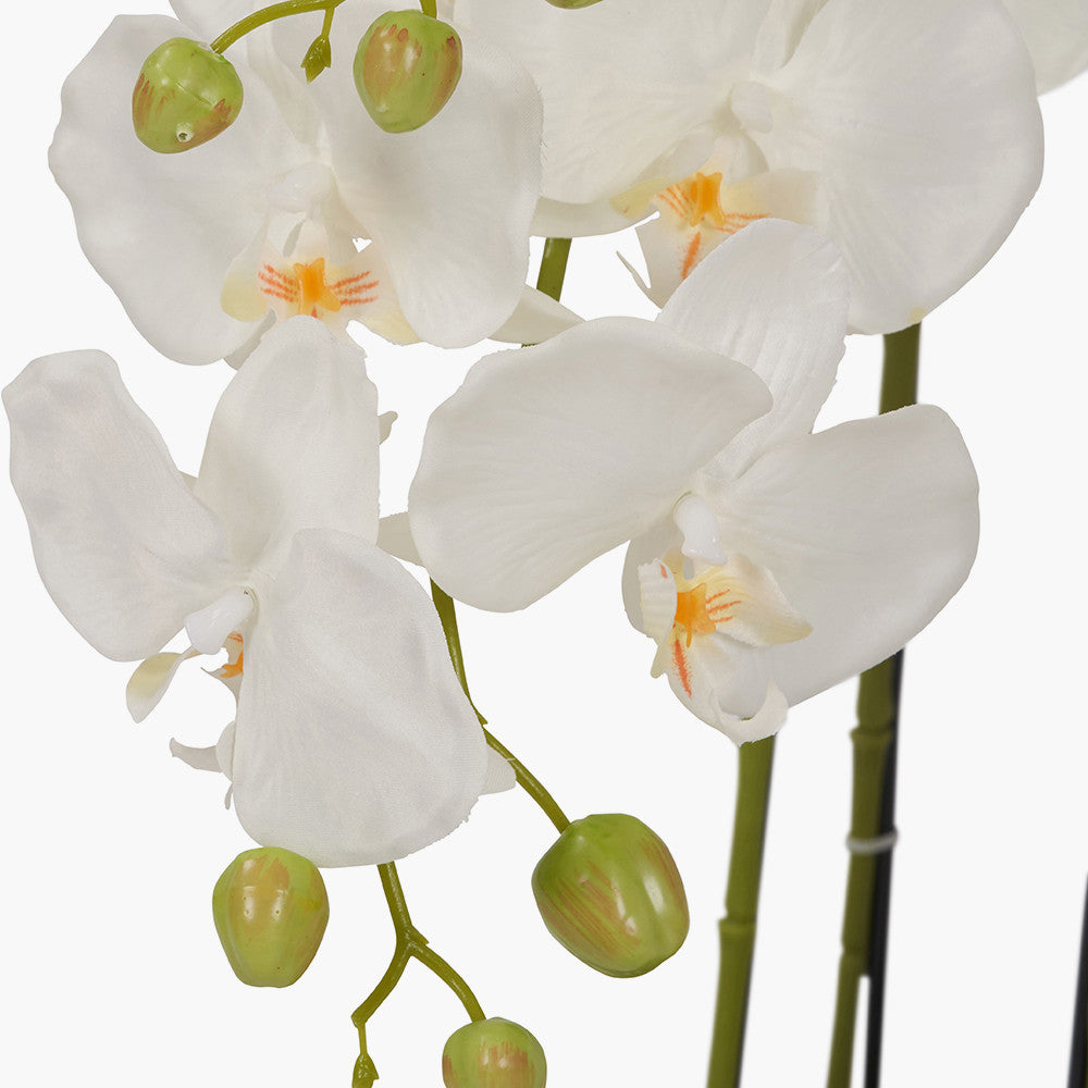 Artificial Tall White Orchid in Moss Pot