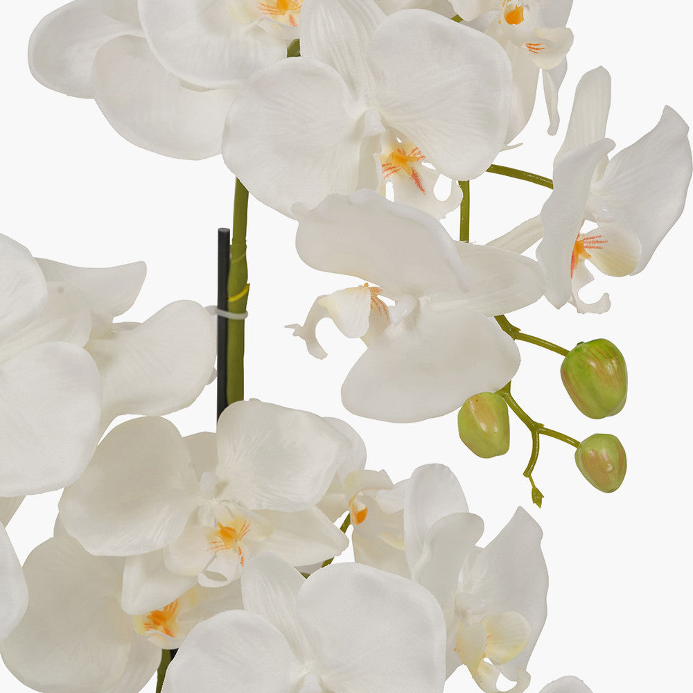 Artificial White Orchid in Moss Pot | Medium