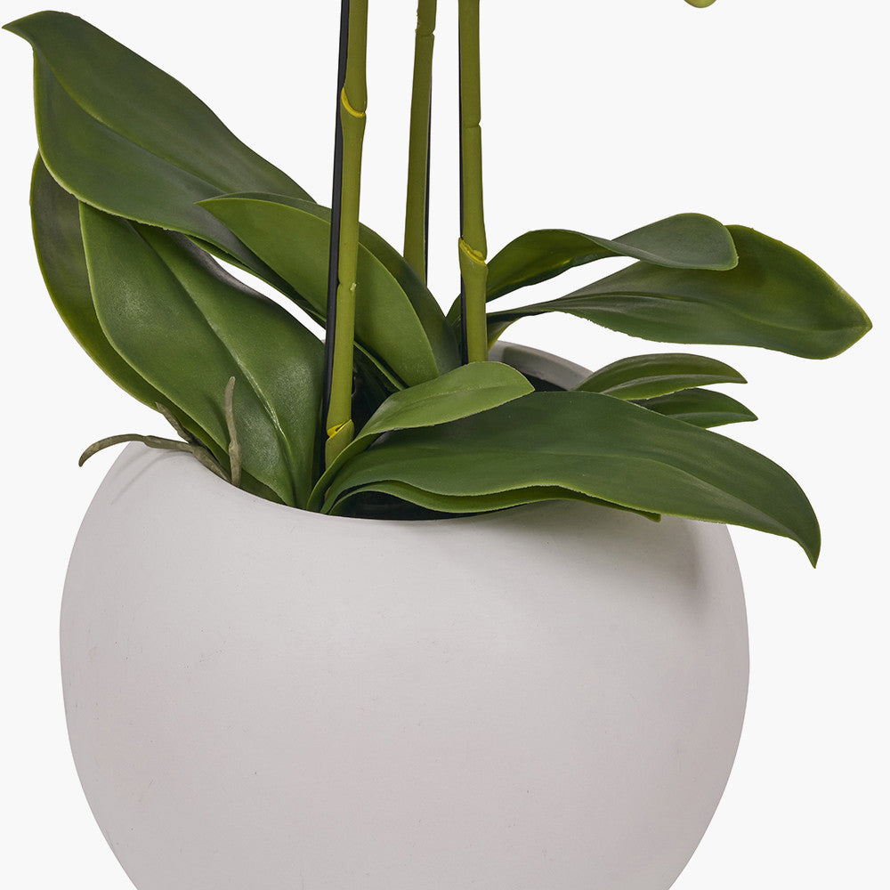 Artificial White Orchid in Pot | Medium