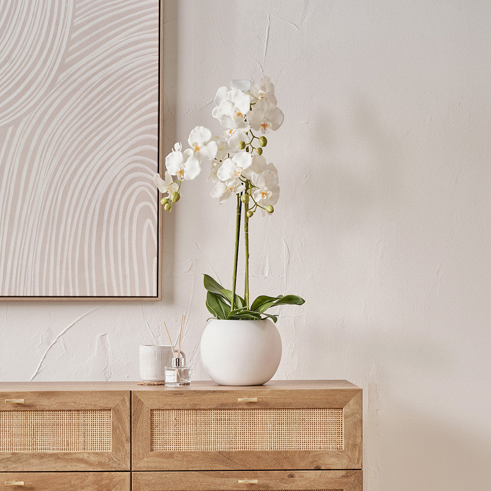 Artificial White Orchid in Pot | Medium