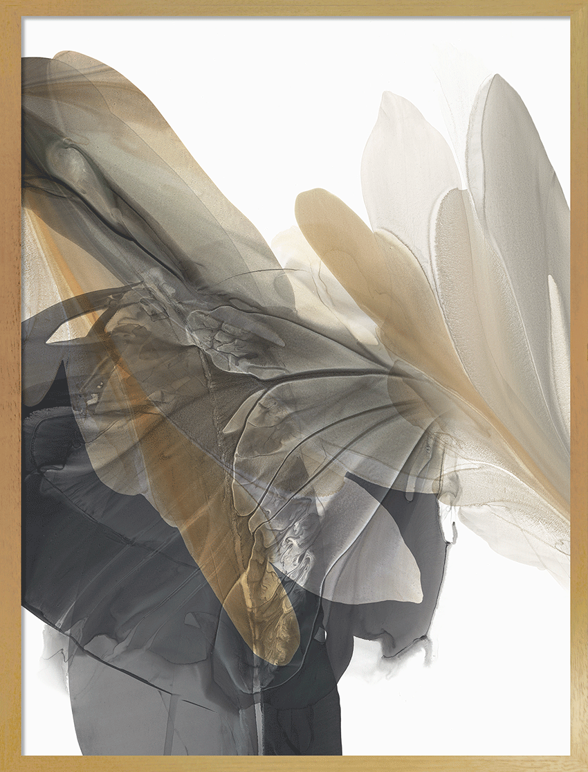 Emerging Gold I Framed Wall Art - 63x48cm