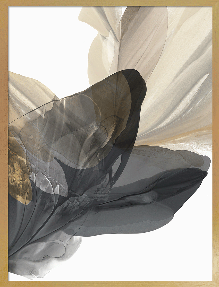 Emerging Gold II Framed Wall Art - 63x48cm