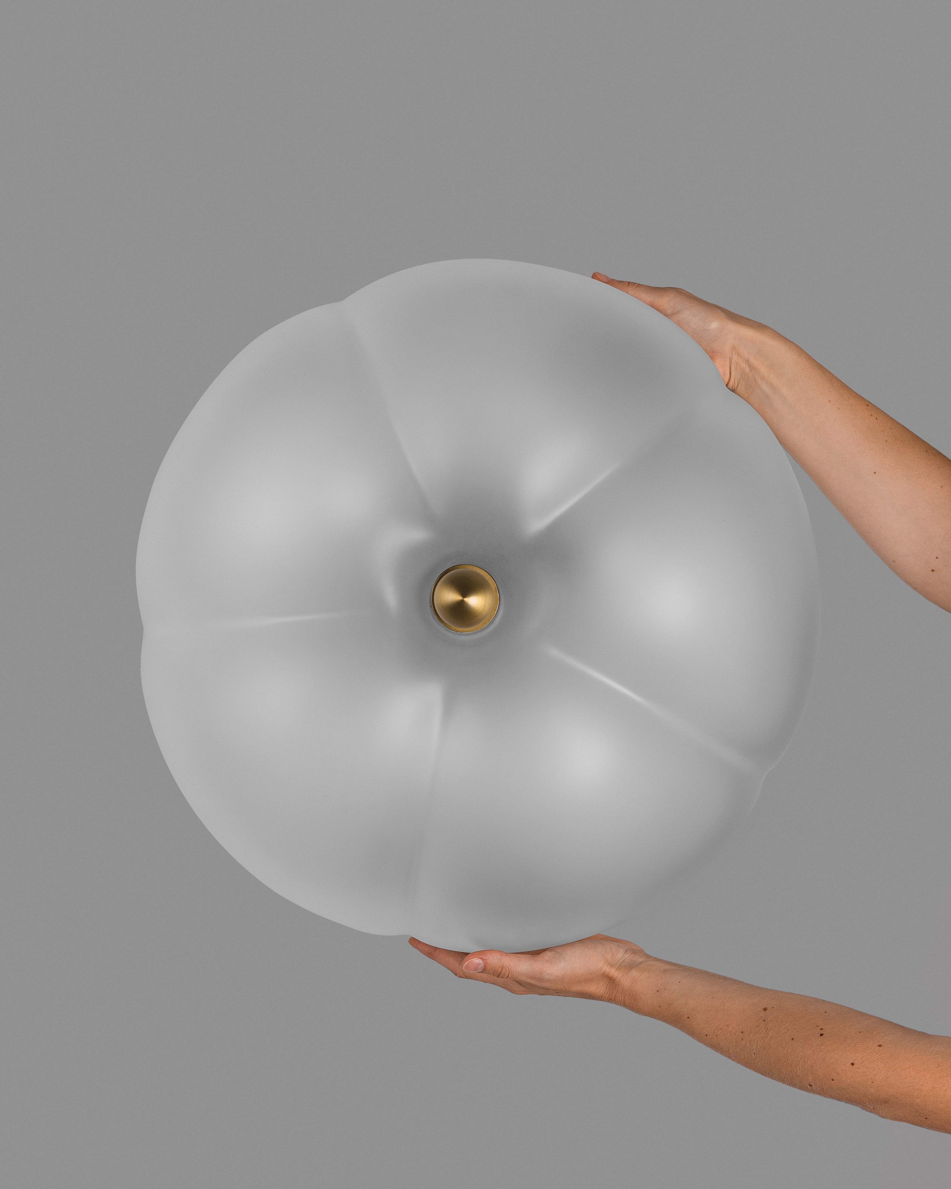 Schwung Hana Frosted Cloche Ceiling/Wall Light