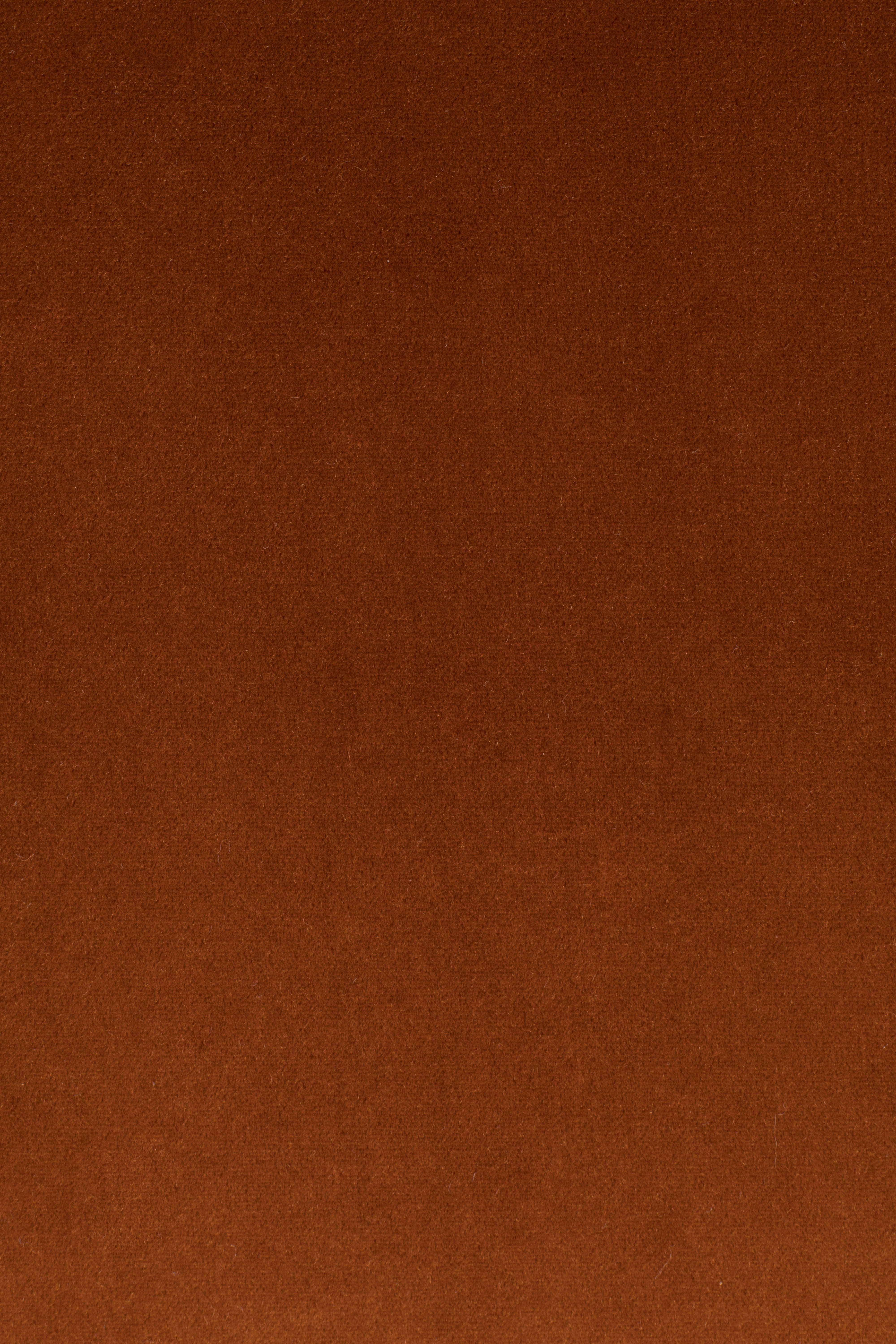 Bold Monkey So Curvy Lounge Orange Velvet Armchair