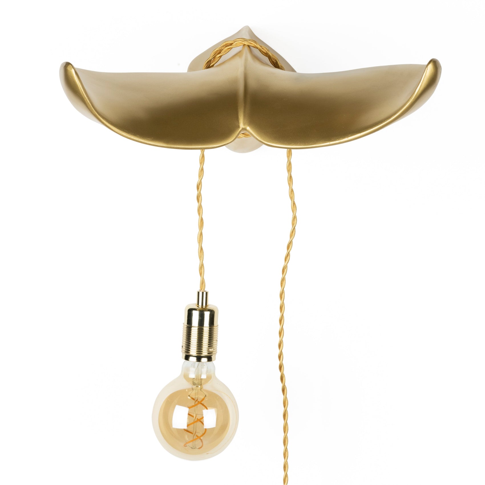 Bold Monkey The Tail Will Follow Gold Wall Light