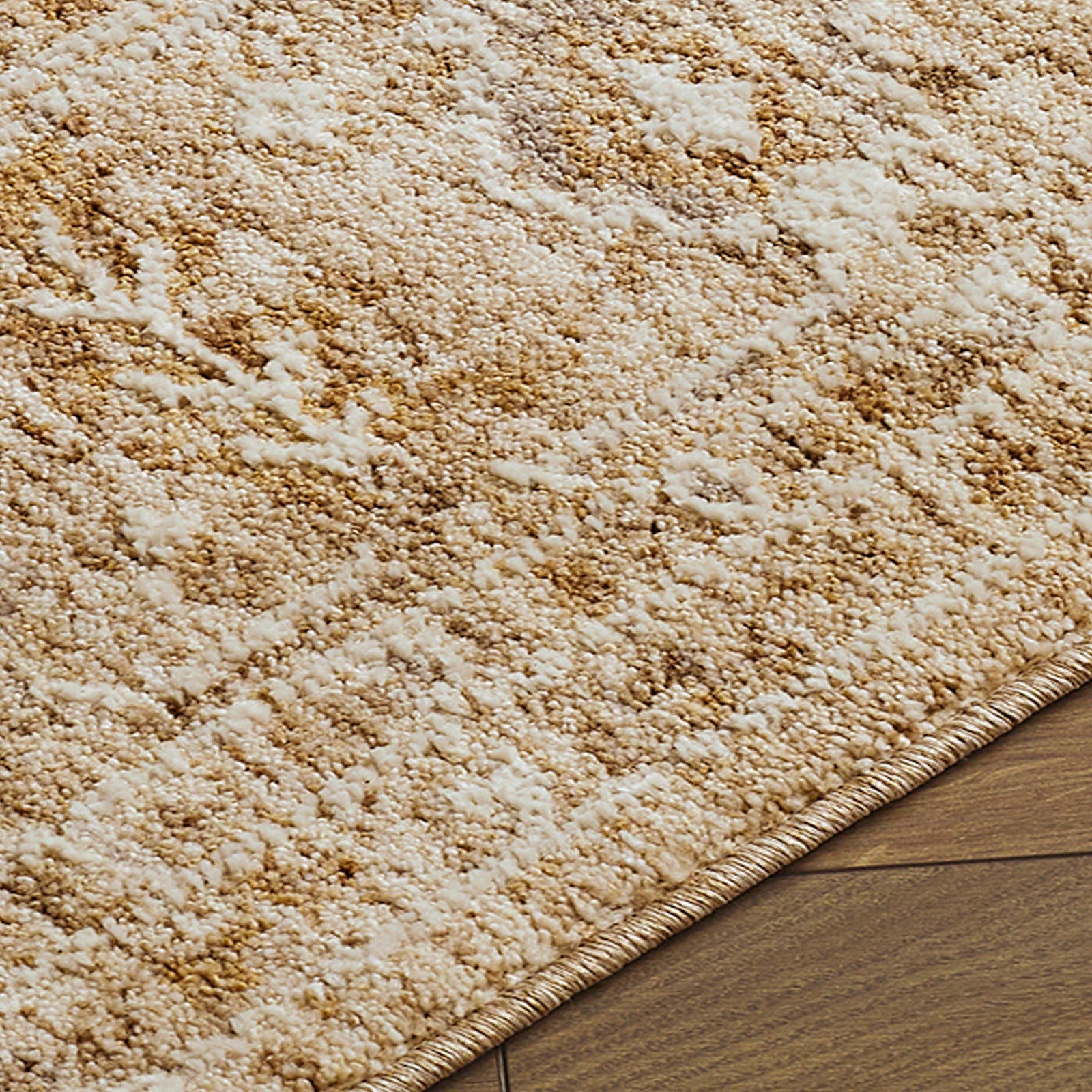 Penny Becki Owens Vintage Traditional Vintage Boho Fringe Tan & Ivory & Off White Polyester Rug 160x213cm - texture detail