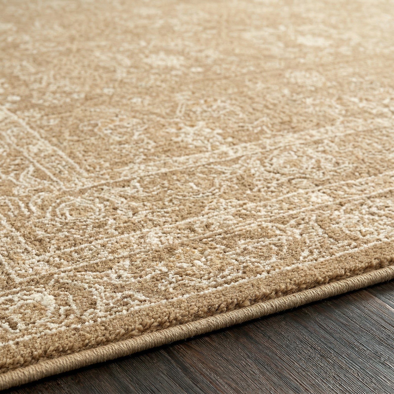 Penny Becki Owens Vintage Traditional Vintage Boho Fringe Tan & Ivory & Off White Polyester Rug 160x213cm - texture detail