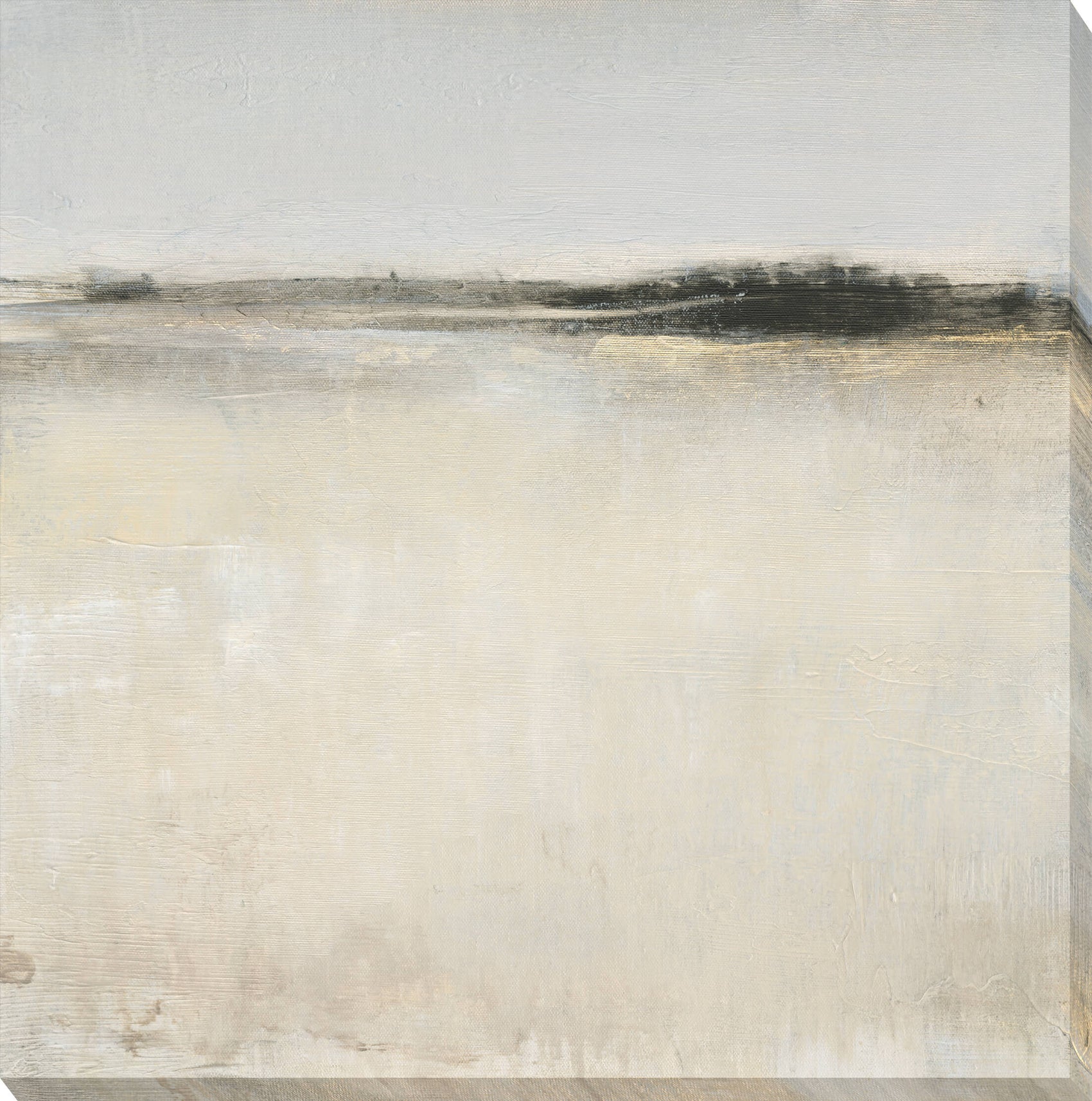 Embellished Subtle Scape I - Canvas Wall Art - 99x99cm