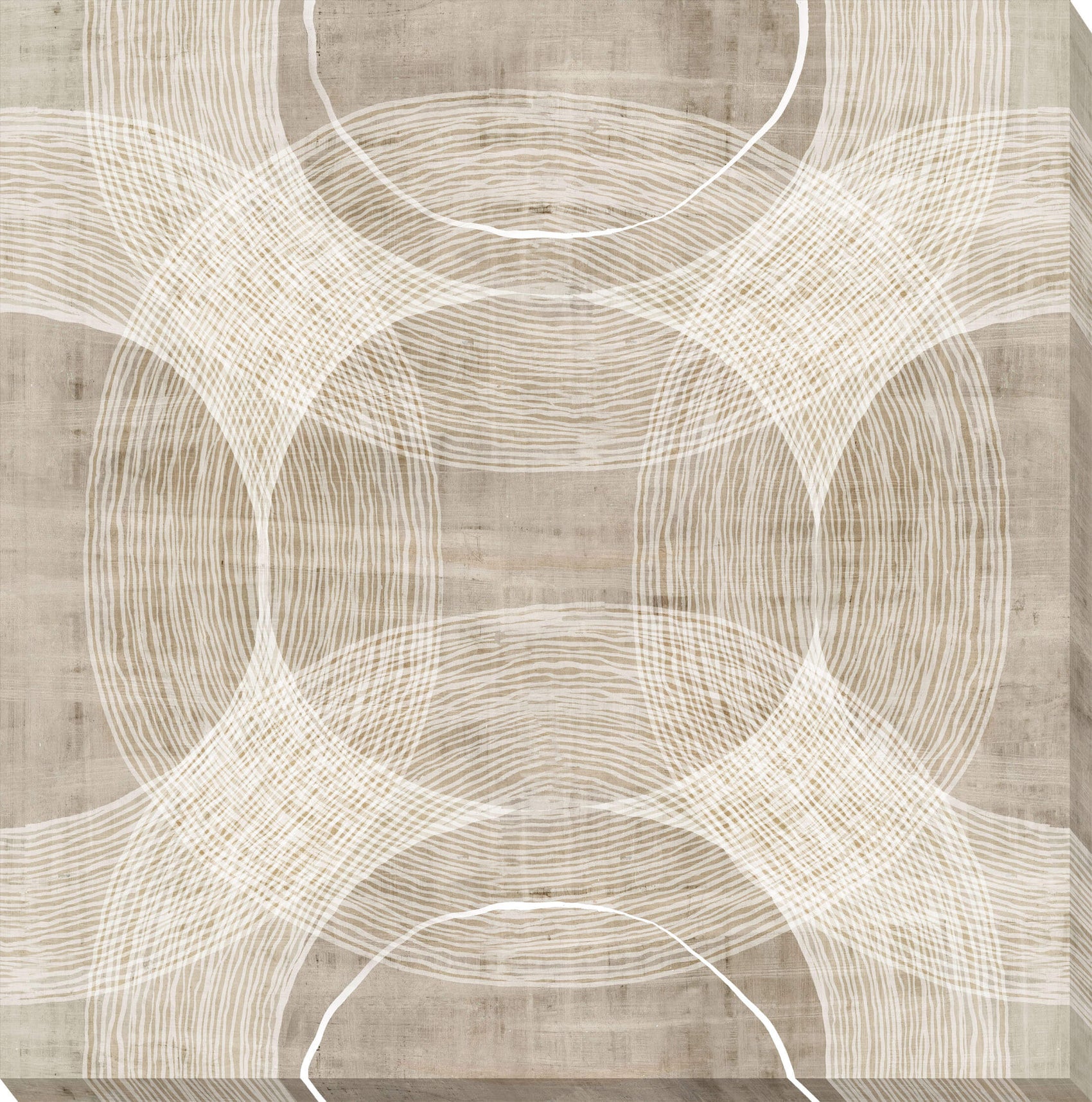 Organic Circles II - Canvas Wall Art - 60x60cm