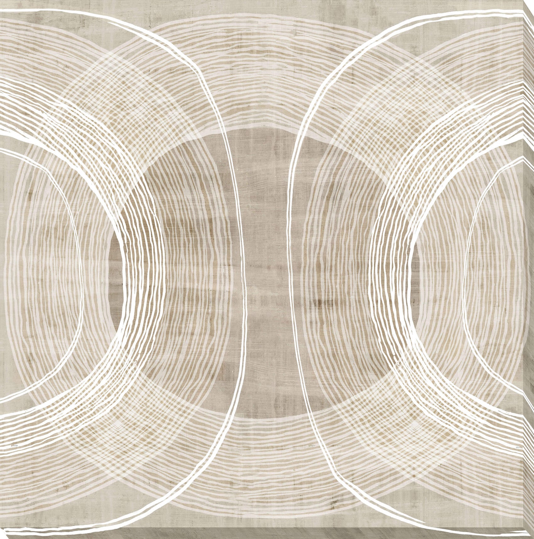 Organic Circles I - Canvas Wall Art - 60x60cm