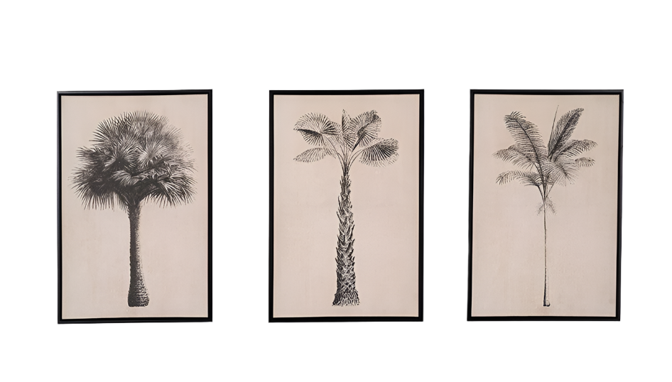 Set of 3 Natural & Black Palm Tree Canvas Wall Art with Black Wood Frames