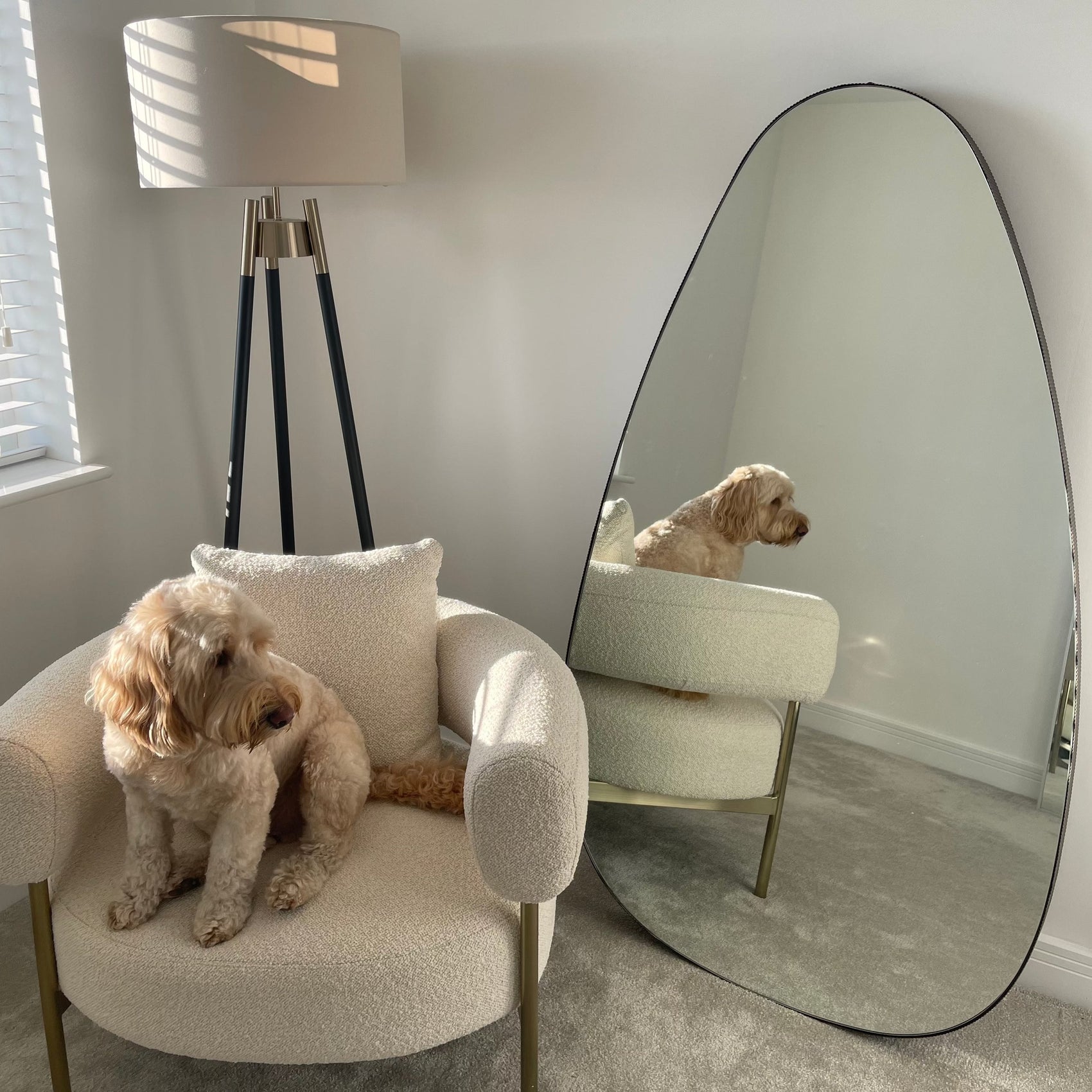 Organic Abstract Egg Rustic Finish Full Length Leaner Mirror | Extra Large