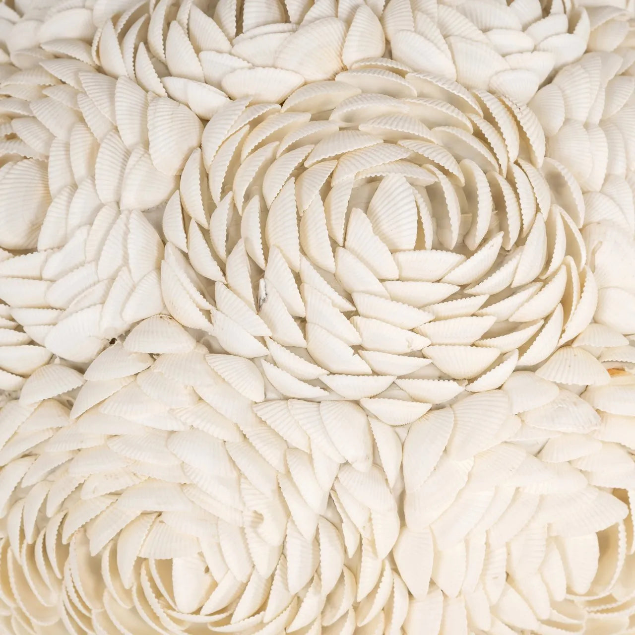 Richmond Interiors Jamie White Shell Table Lamp