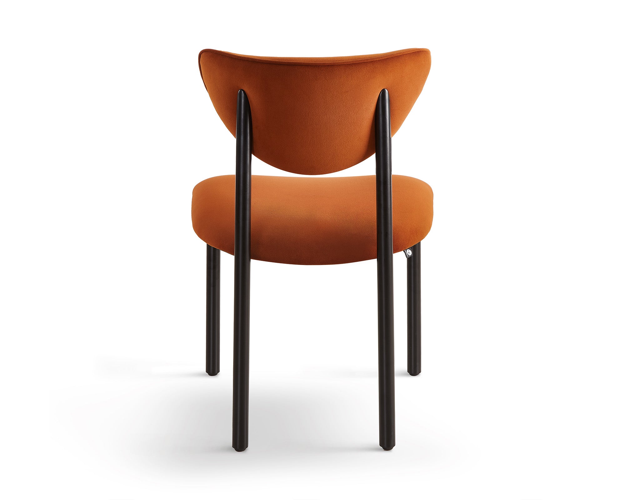 Noah Dining Chair - Megan Oxide Set of 2