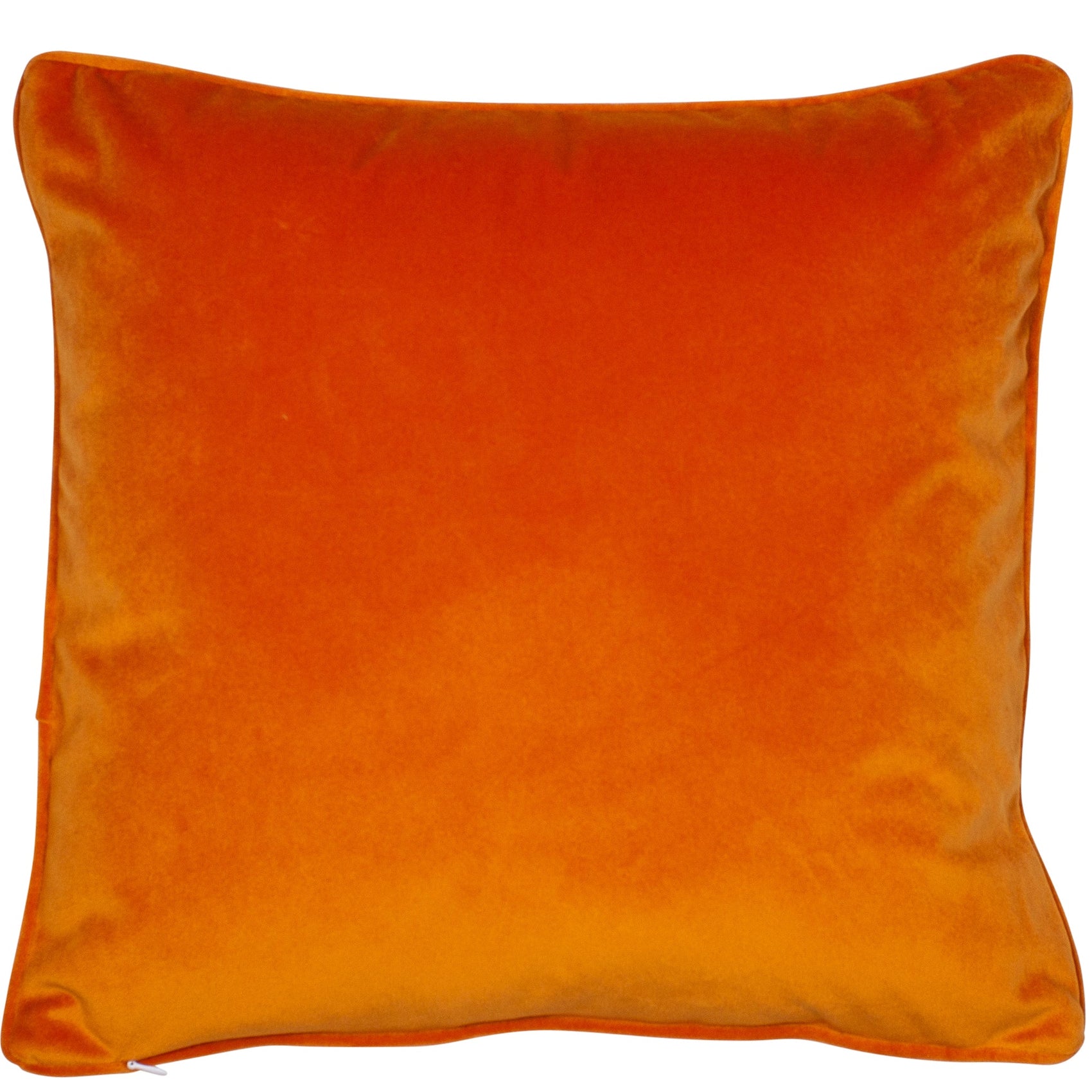Malini Luxe Matt Velvet withpiping Square Cushion 50x50