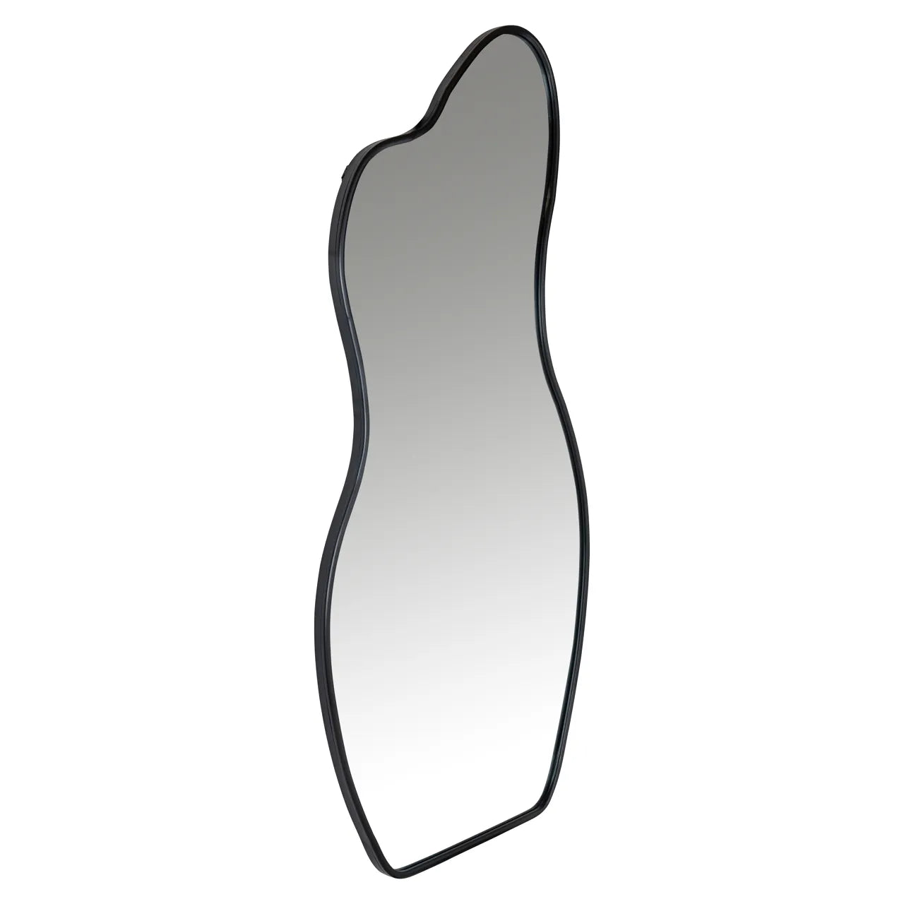 Richmond Interiors Aldon Bubble Black Full Length Mirror