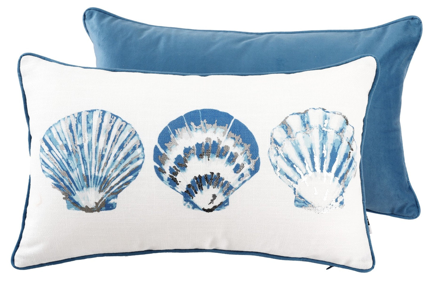 3 SCALLOP SHELL PRINT WITH FOIL 30 X 50