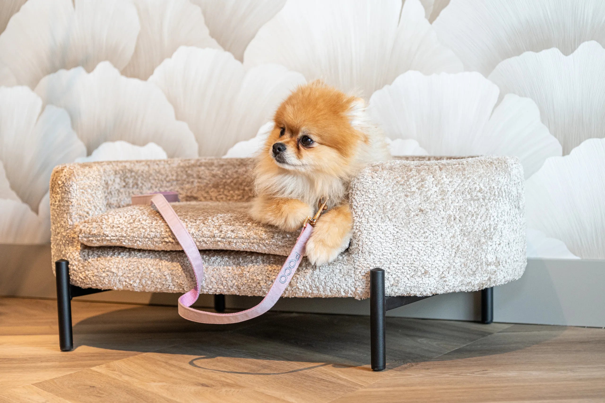 Richmond Interiors Dolly Beige Blockweave Pet Bed