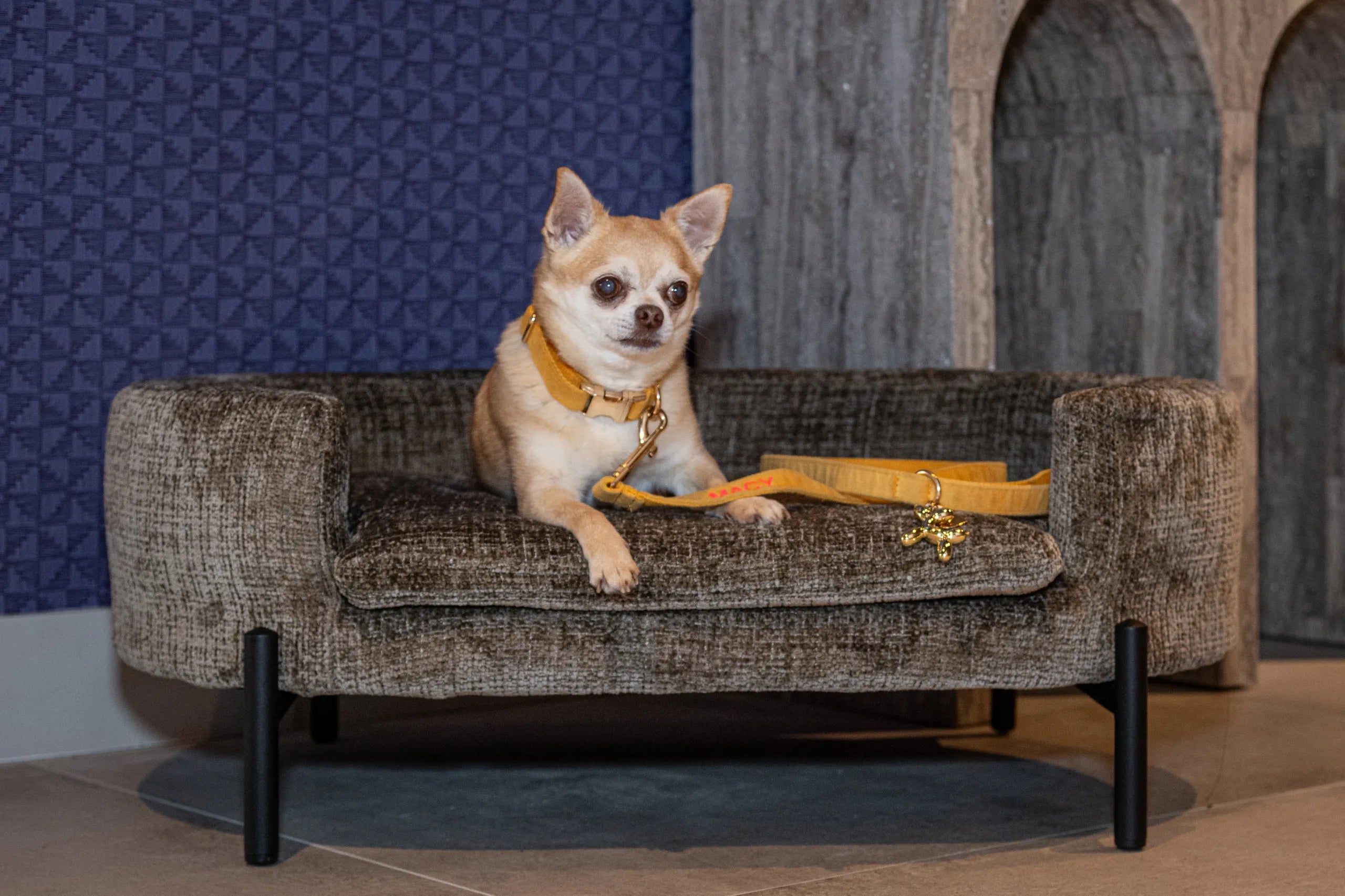 Richmond Interiors Dolly Niagara Stone Taupe Chenille Pet Bed