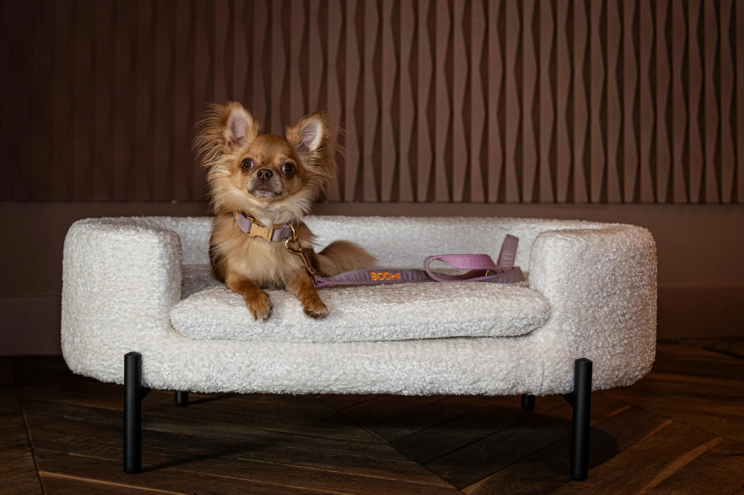 Richmond Interiors Dolly White Boucle Pet Bed